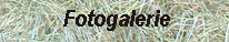 fotogal