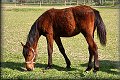 45 tden_02 