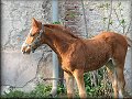 7 tden_03 
