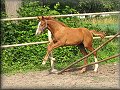 15 tden_05 