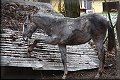 IMG_0228 