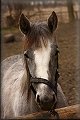 IMG_0633 